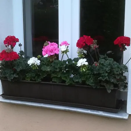 Apartment Rauscher