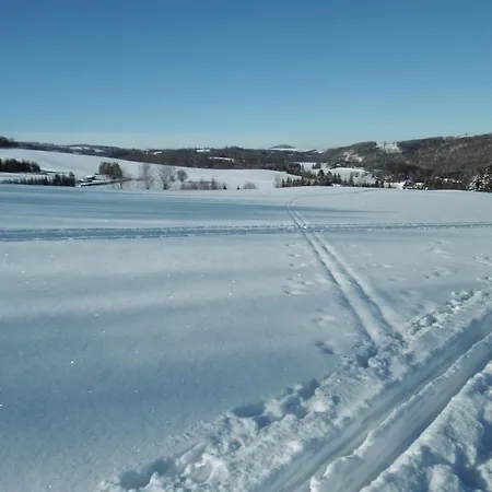 Апартаменты Rauscher *